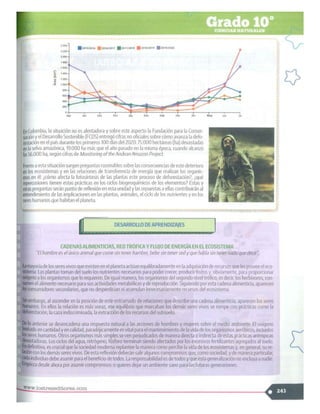 SABER + GRADO 10.pdf