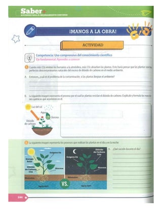 SABER + GRADO 10.pdf