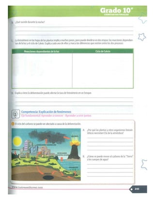 SABER + GRADO 10.pdf