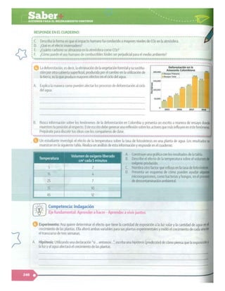 SABER + GRADO 10.pdf