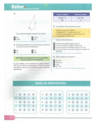 SABER + GRADO 10.pdf