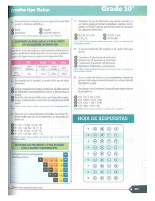 SABER + GRADO 10.pdf