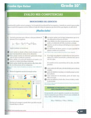 SABER + GRADO 10.pdf
