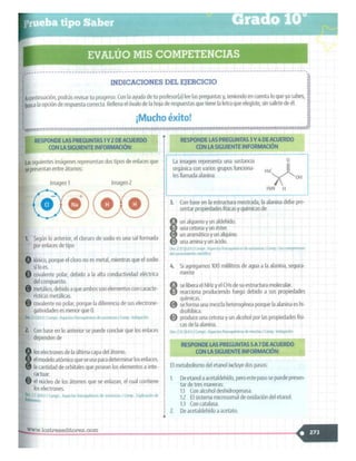 SABER + GRADO 10.pdf