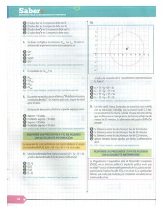 SABER + GRADO 10.pdf