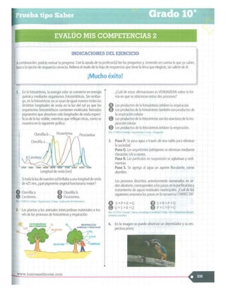 SABER + GRADO 10.pdf
