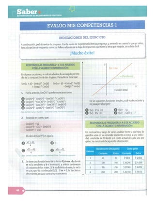 SABER + GRADO 10.pdf