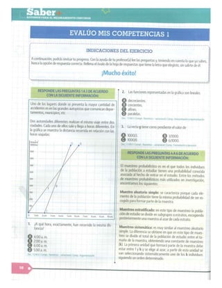 SABER + GRADO 10.pdf