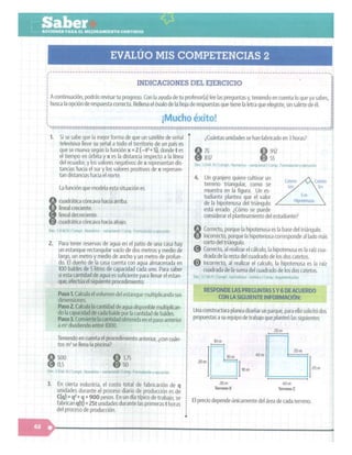 SABER + GRADO 10.pdf
