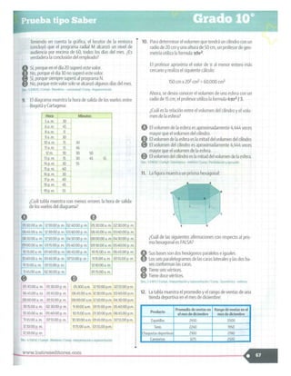 SABER + GRADO 10.pdf