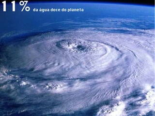 11%   da água doce do planeta 