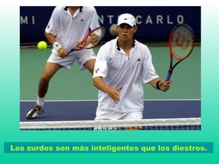 Los zurdos son más inteligentes que los diestros.
 