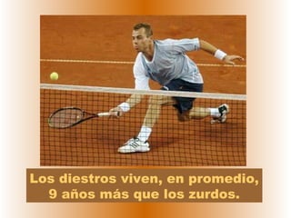 Los diestros viven, en promedio,
  9 años más que los zurdos.
 