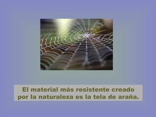 El material más resistente creado
por la naturaleza es la tela de araña.
 