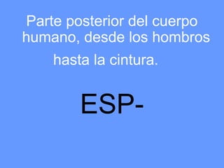 Parte posterior del cuerpo
humano, desde los hombros
    hasta la cintura.


        ESP-
 