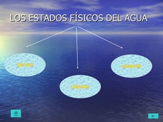 LOS ESTADOS FÍSICOS DEL AGUA SÓLIDO LÍQUIDO GASEOSO 