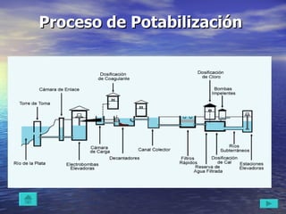 Proceso de Potabilización  