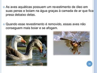 

As aves aquáticas possuem um revestimento de óleo em
suas penas e boiam na água graças à camada de ar que fica
presa debaixo delas.



Quando esse revestimento é removido, essas aves não
conseguem mais boiar e se afogam.

34

 