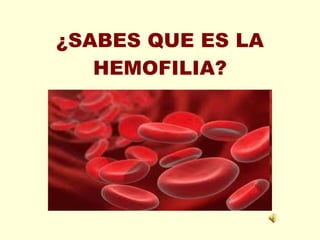¿SABES QUE ES LA HEMOFILIA? 