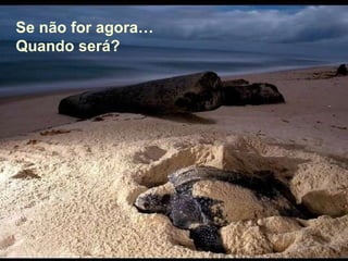 Se não for agora… Quando será? 