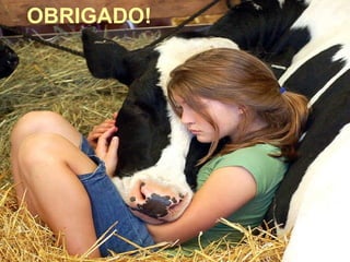 OBRIGADO! 