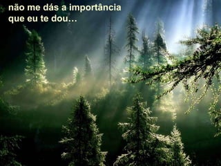 não me dás a importância que eu te dou… 