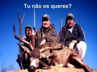 Tu não os queres? 