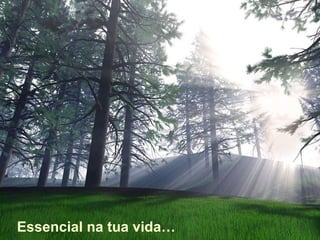 Essencial na tua vida… 