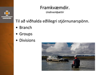 Framkvæmdir.
Undirverkþættir
Til að viðhalda eðlilegri stjórnunarspönn.
• Branch
• Groups
• Divisions
 