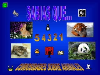 SABIAS QUE... CURIOSIDADES SOBRE ANIMALES 5 4 3 2 1 