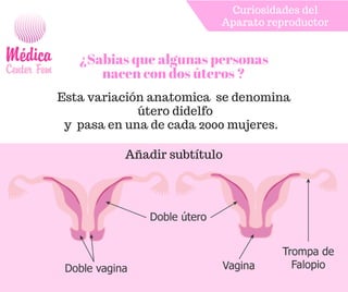 ¿Sabias que algunas personas
nacen con dos úteros ?
Esta variación anatomica  se denomina
 útero didelfo
y  pasa en una de cada 2000 mujeres.  
Curiosidades del 
Aparato reproductor 
Añadir subtítulo
 