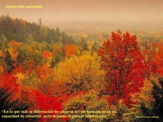 Desarrollo sostenible “ En lo que más se diferencian los pájaros del ser humano es en su capacidad de construir, pero dejando el paisaje como estaba.” Robert Lynnd –Irlanda- 