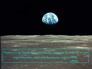 Nunca es un buen día para morir, porque la vida no es un experimento, sino una hermosa experiencia. Letoren. 