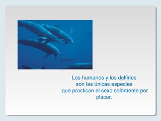 Los humanos y los delfines
son las únicas especies
que practican el sexo solamente por
placer.
 