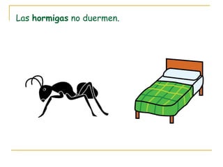 Las hormigas no duermen.
 