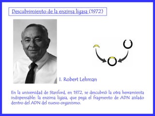 Descubrimiento de la enzima ligasa (1972)




                          I. Robert Lehman

En la universidad de Stanford, en 1972, se descubrió la otra herramienta
indispensable: la enzima ligasa, que pega el fragmento de ADN aislado
dentro del ADN del nuevo organismo.
 