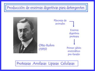 Producción de enzimas digestivas para detergentes


                             Páncreas de
                              animales

                                              Enzima
                                             digestiva:
                                             proteasa


                    Otto Rohm
                                           Primer jabón
                    (1913)
                                            enzimático
                                            pre-lavado


      Proteasas Amilasas Lipasas Celulasas
 