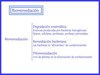 Biorremediación



                  Degradación enzimática
                  Enzimas producidas por bacterias transgénicas:
                  lipasas, celulasas, proteasas, amilasas, peroxidasa.

Biorremediación
                  Remediación bacteriana
                  Las bacterias se “alimentan” de contaminantes.

                  Fitorremediación
                  Uso de plantas en la eliminación de contaminantes
 