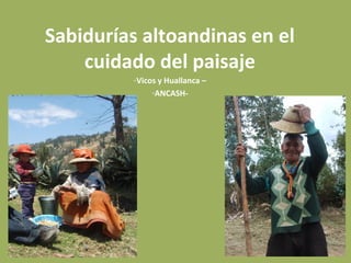 Sabidurías altoandinas en el
    cuidado del paisaje
         -Vicos y Huallanca –
              -ANCASH-
 