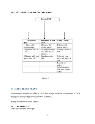 Sabih-Pepsi-Report.pdf