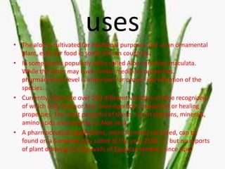 uses
• The aloe is cultivated for medicinal purposes and as an ornamental
plant, even for food in some African countries.
• In some places popularly often called Aloe vera Aloe maculata.
While the latter may have similar medicinal properties,
pharmaceutical level is important for proper identification of the
species.
• Currently, there are over 250 different varieties of Aloe recognized,
of which only three or four have significant medicinal or healing
properties. The most powerful of these, rich in vitamins, minerals,
amino acids and enzymes is Aloe vera.
• A pharmaceutical applications, more formerly recorded, can be
found on a Sumerian clay tablet of the year 2100. C., but no reports
of plant drawings on the walls of Egyptian temples since April
 