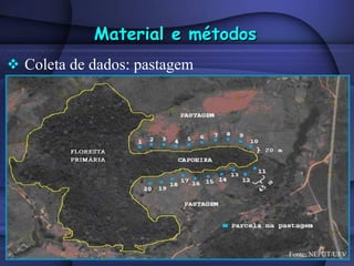 Coleta de dados: pastagem Material e métodos Fonte: NEPUT/UFV 