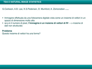TDA E NATURAL IMAGE STATISTICS
G.Carlsson, A.B. Lee, K.S.Pedersen, D. Mumford, A. Zomorodian …..
• Immagine effettuata da una fotocamera digitale vista come un insieme di vettori in un
spazio di dimensione molto alta
• se p è il numero di pixel, l’immagine è un insieme di vettori di Rp —> insieme di
dati non strutturato
Problema
Questo insieme di vettori ha una forma?
 