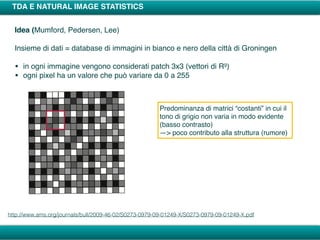 TDA E NATURAL IMAGE STATISTICS
Idea (Mumford, Pedersen, Lee)
Insieme di dati = database di immagini in bianco e nero della città di Groningen
• in ogni immagine vengono considerati patch 3x3 (vettori di R9)
• ogni pixel ha un valore che può variare da 0 a 255
http://www.ams.org/journals/bull/2009-46-02/S0273-0979-09-01249-X/S0273-0979-09-01249-X.pdf
Predominanza di matrici “costanti” in cui il
tono di grigio non varia in modo evidente
(basso contrasto)
—> poco contributo alla struttura (rumore)
 