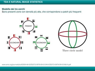 TDA E NATURAL IMAGE STATISTICS
Modello dei tre cerchi
Sono presenti zone con densità più alta, che corrispondono a patch più frequenti
www.ams.org/journals/bull/2009-46-02/S0273-0979-09-01249-X/S0273-0979-09-01249-X.pdf
 