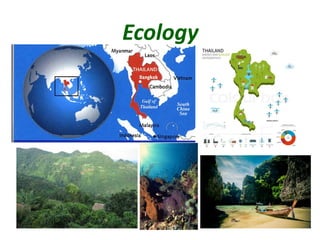 Ecology
 