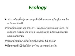 ประเทศไทยตั้งอยู่บนคาบสมุทรอินโดจีน และมลายู ในภูมิภาคเอเชีย
ตะวันออกเฉียงใต้
ทิศเหนือติดพม่า และ สปป.ลาว, ทิศใต้ติดมาเลเซีย และอ่าวไทย, ทิศ
ตะวันออกเฉียงเหนือติด สปป.ลาว และกัมพูชา, ทิศตะวันตกติดพม่า
และทะเลอันดามัน
ประเทศไทยมีขนาดพื้นที่ใหญ่เป็นอันดับที่ 51 ของโลก
มีชายทะเลถึง 2 ส่วนได้แก่ อ่าวไทย และทะเลอันดามัน
Ecology
 