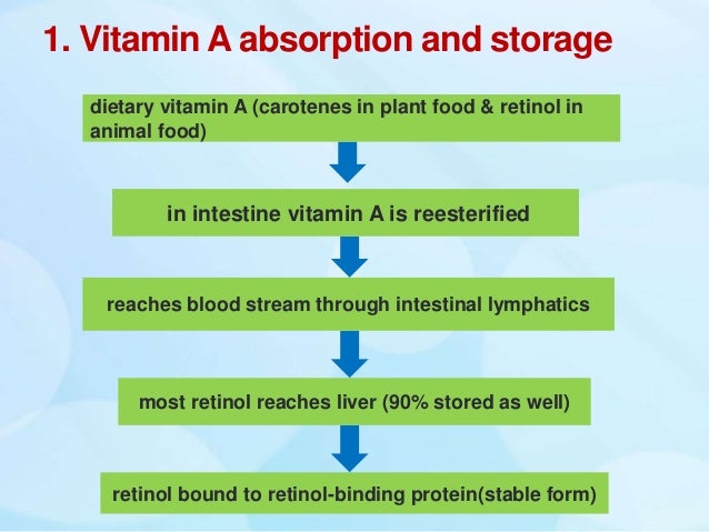 vision biochemistry role of vitamin a and xerophthalmia animal form of vitamin a