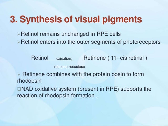 Vision Biochemistry Role Of Vitamin A And Xerophthalmia