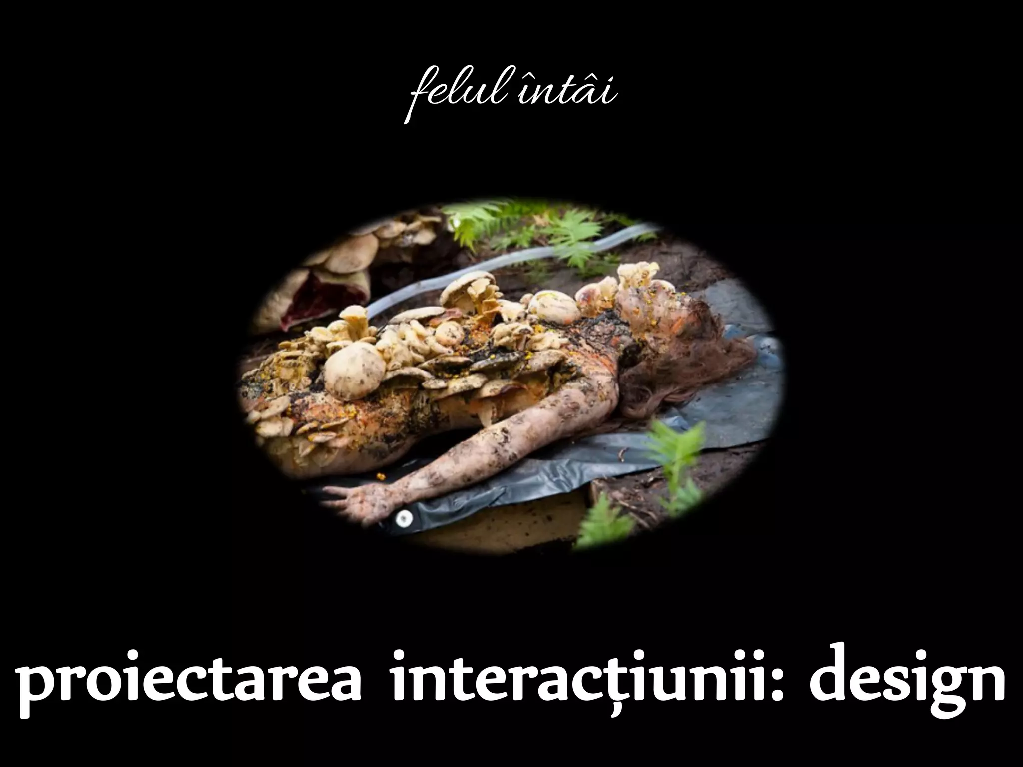 Dr.Sabin-CorneliuBuraga–www.purl.org/net/busaco
felul întâi
 